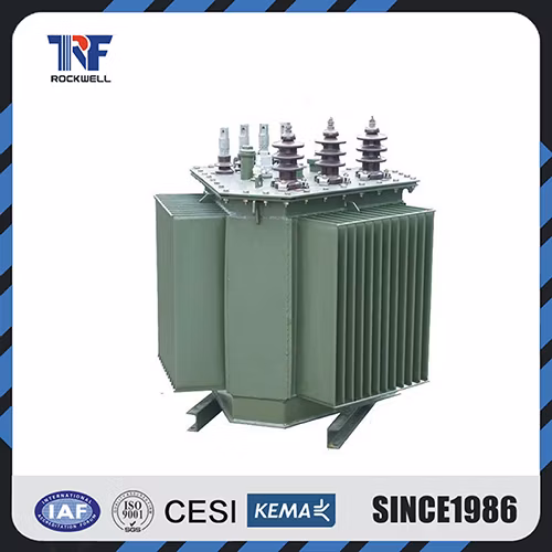 10kv Series Distribution Transformer Duplex Winding Non